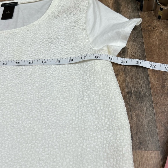 Ann Taylor womans medium cream colored pebbled short sleeve top - Picture 4 of 7